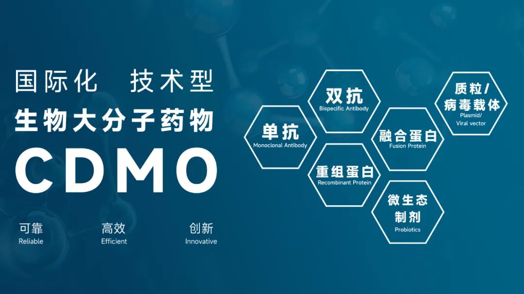 2025澳门原料网大全