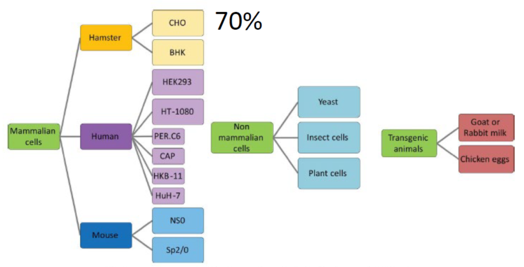 2025澳门原料网大全