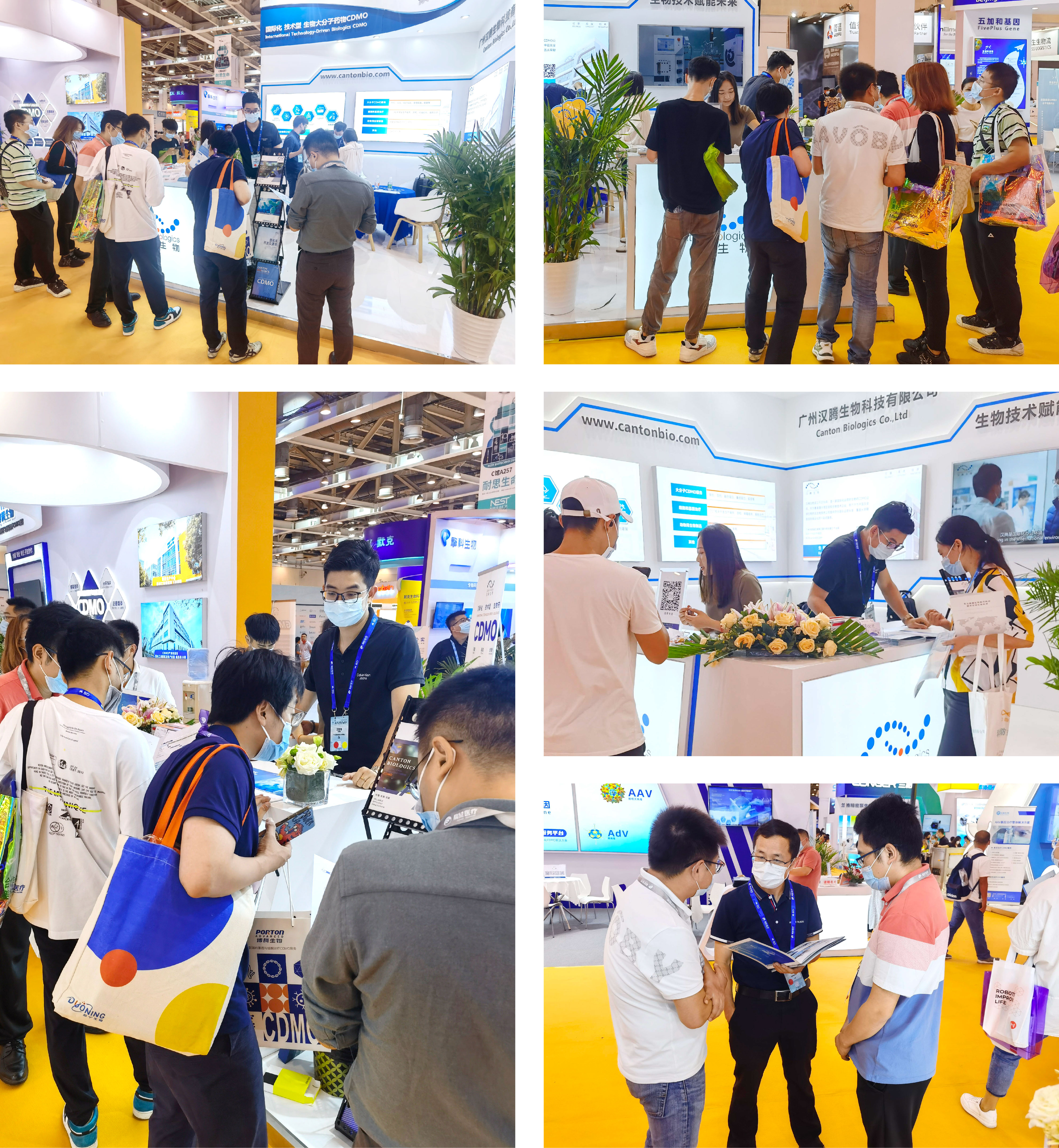 2025澳门原料网大全