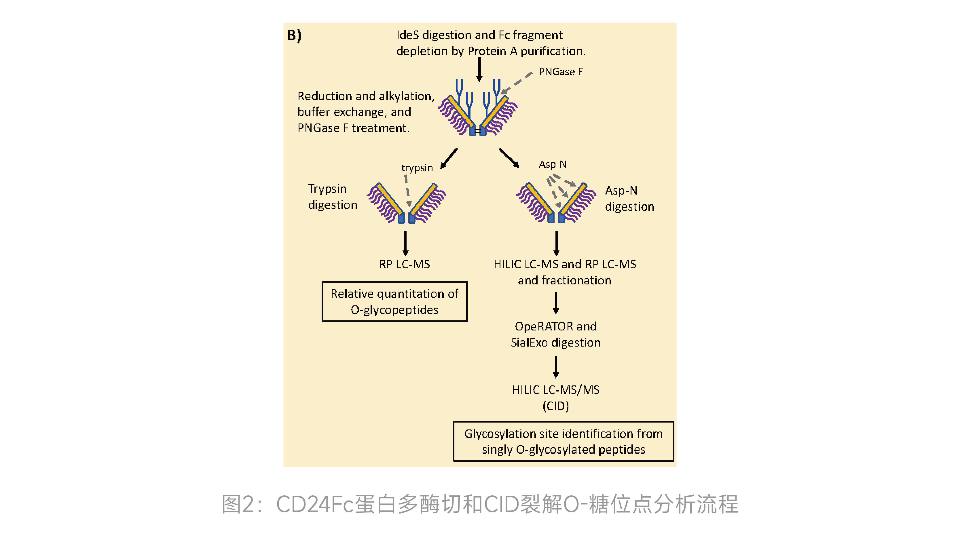 2025澳门原料网大全
