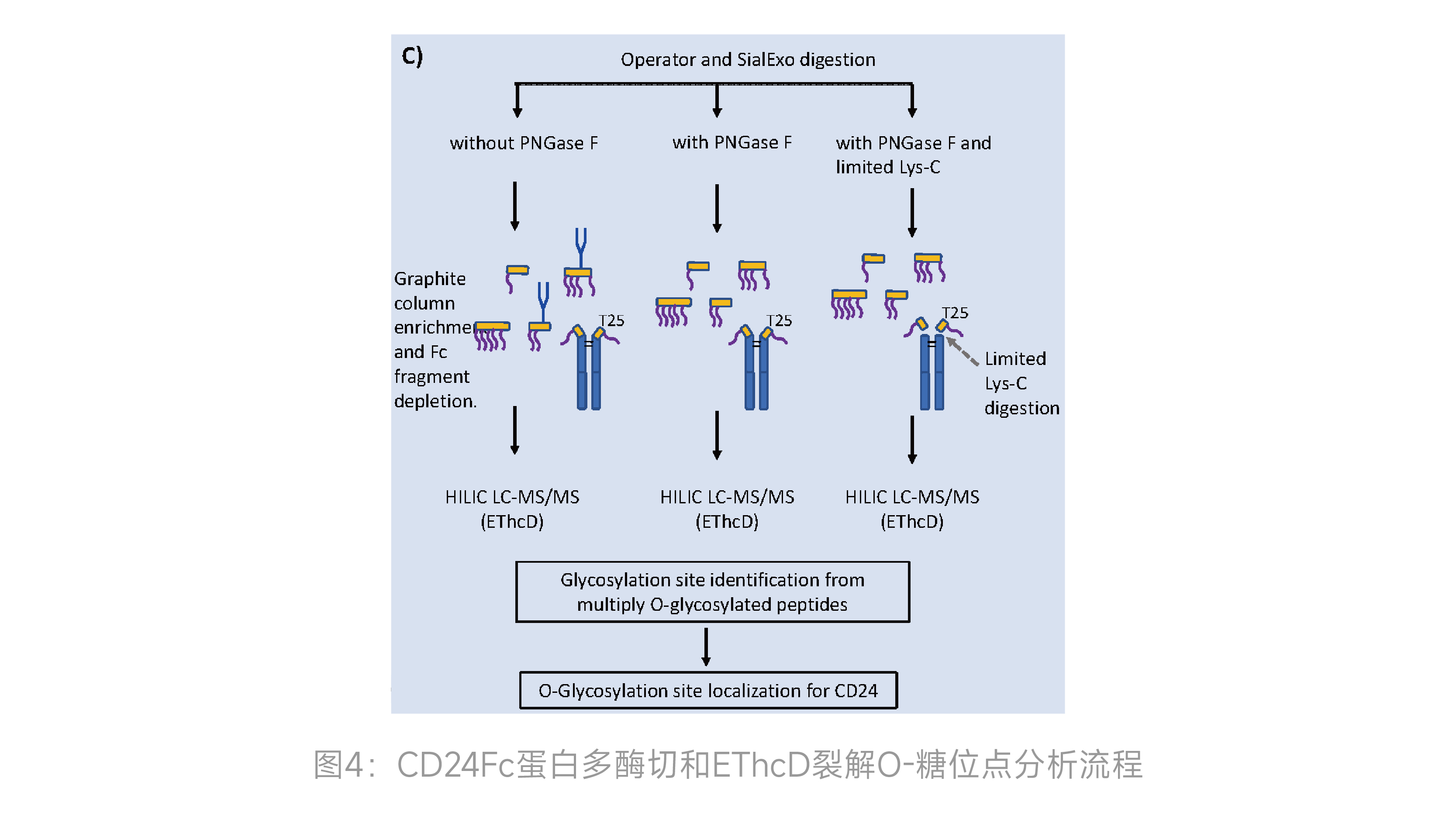 2025澳门原料网大全