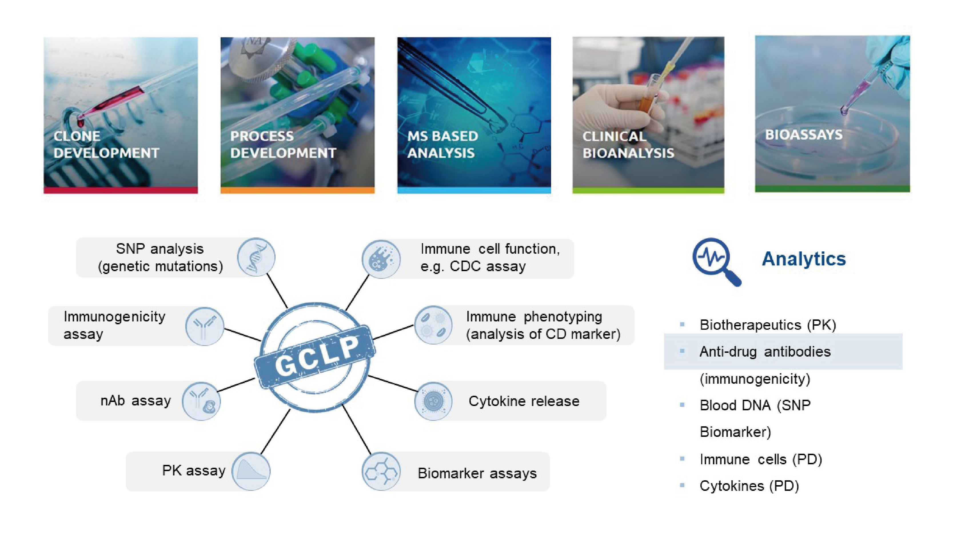2025澳门原料网大全