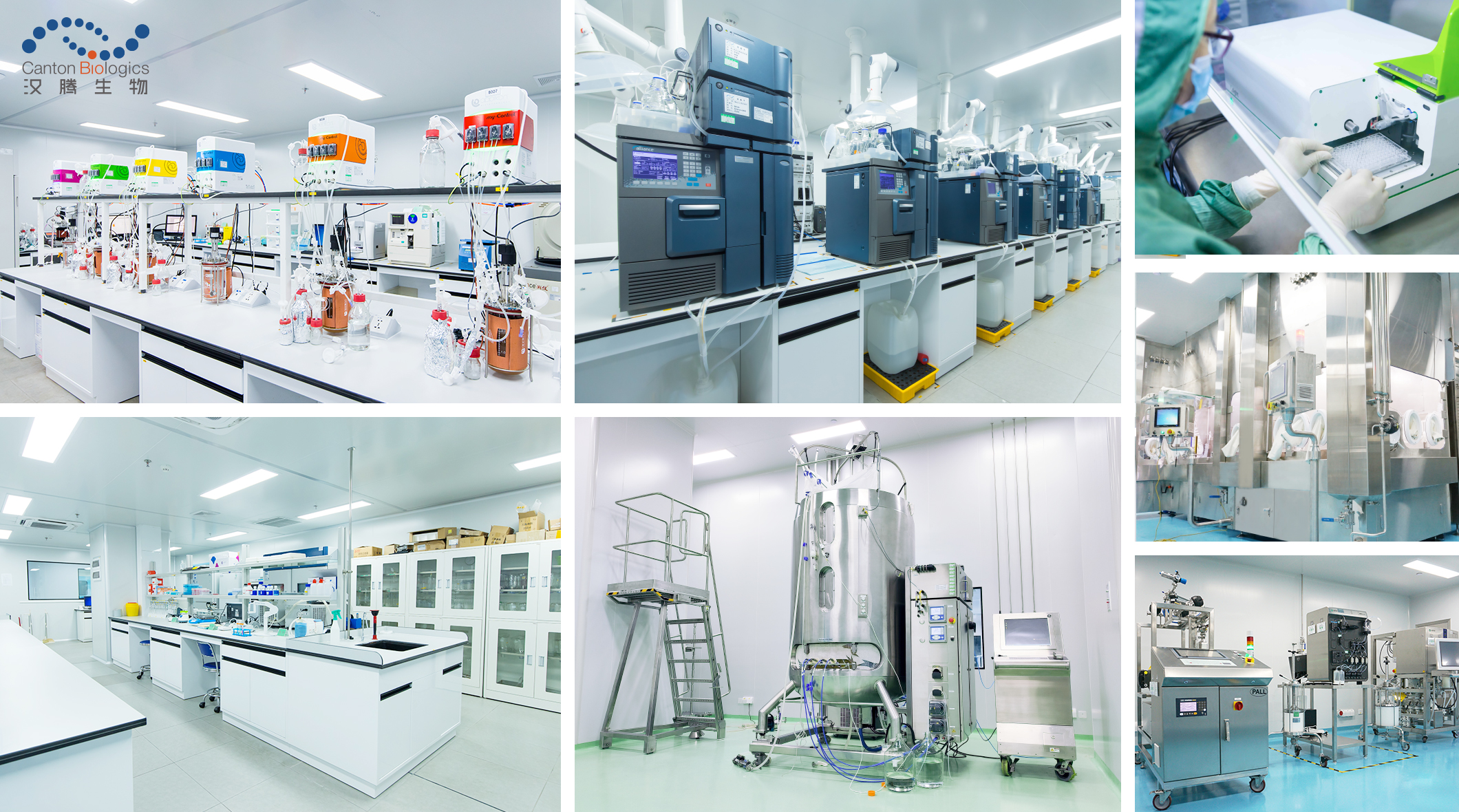 2025澳门原料网大全