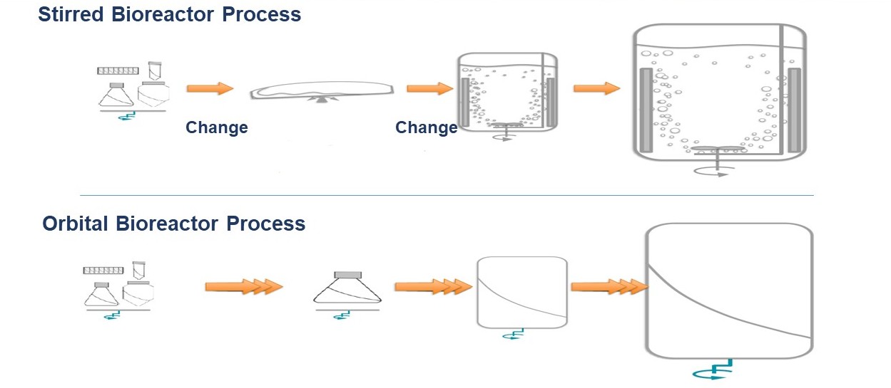 2025澳门原料网大全