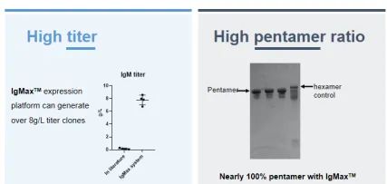2025澳门原料网大全