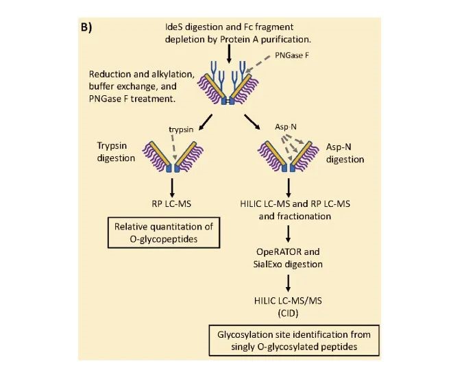 2025澳门原料网大全