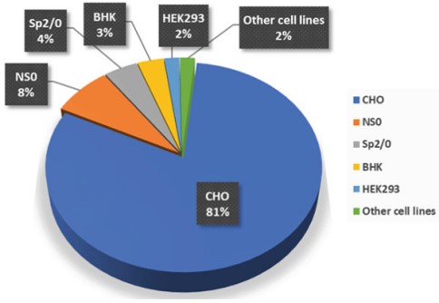 2025澳门原料网大全