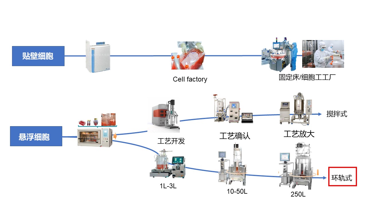 2025澳门原料网大全
