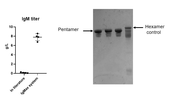 2025澳门原料网大全