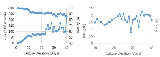 2025澳门原料网大全
