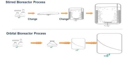 2025澳门原料网大全
