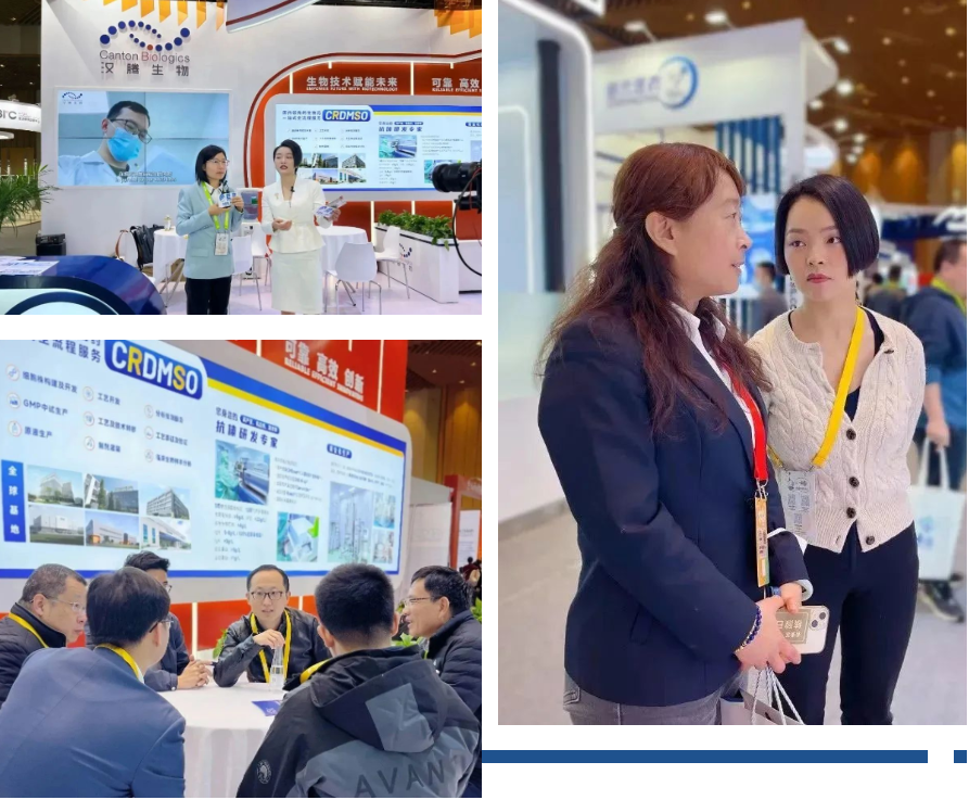 2025澳门原料网大全