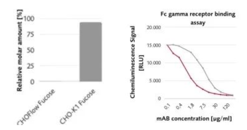2025澳门原料网大全