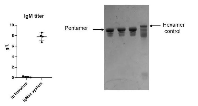 2025澳门原料网大全