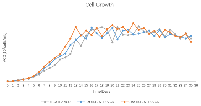 2025澳门原料网大全