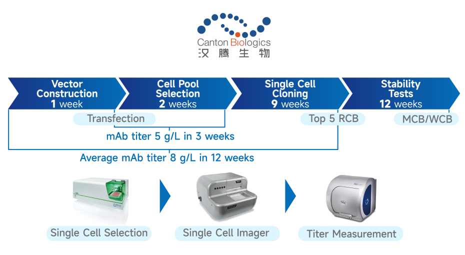 2025澳门原料网大全