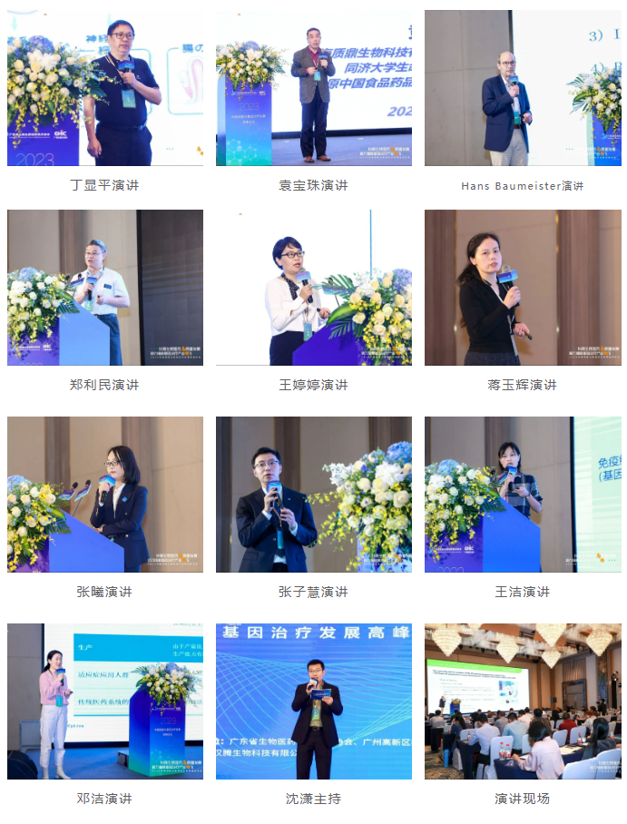 2025澳门原料网大全