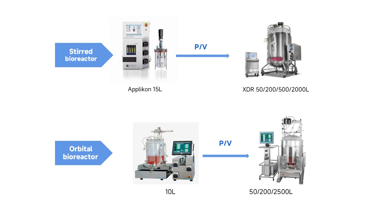 2025澳门原料网大全