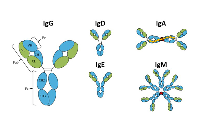 2025澳门原料网大全