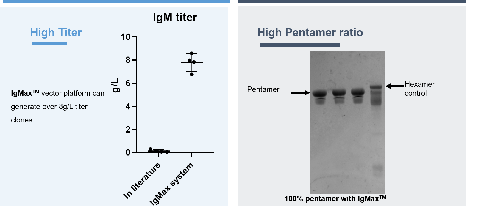 2025澳门原料网大全