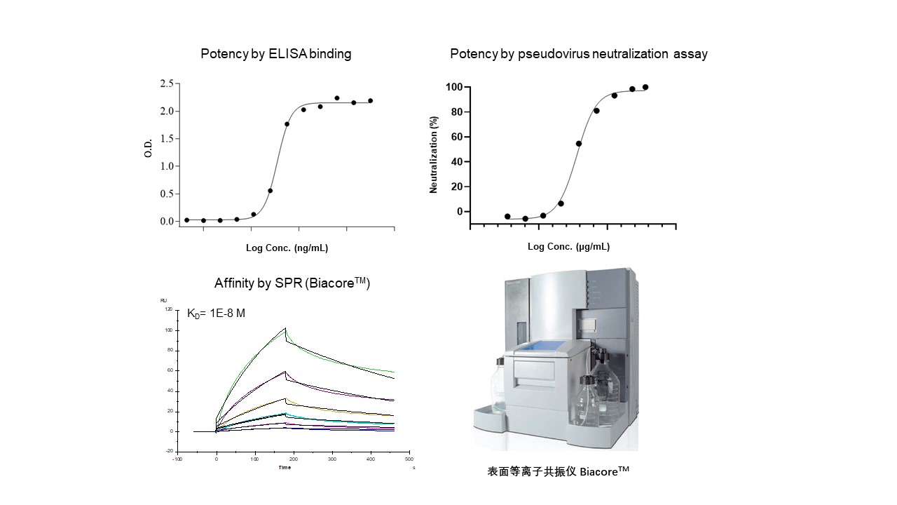 2025澳门原料网大全