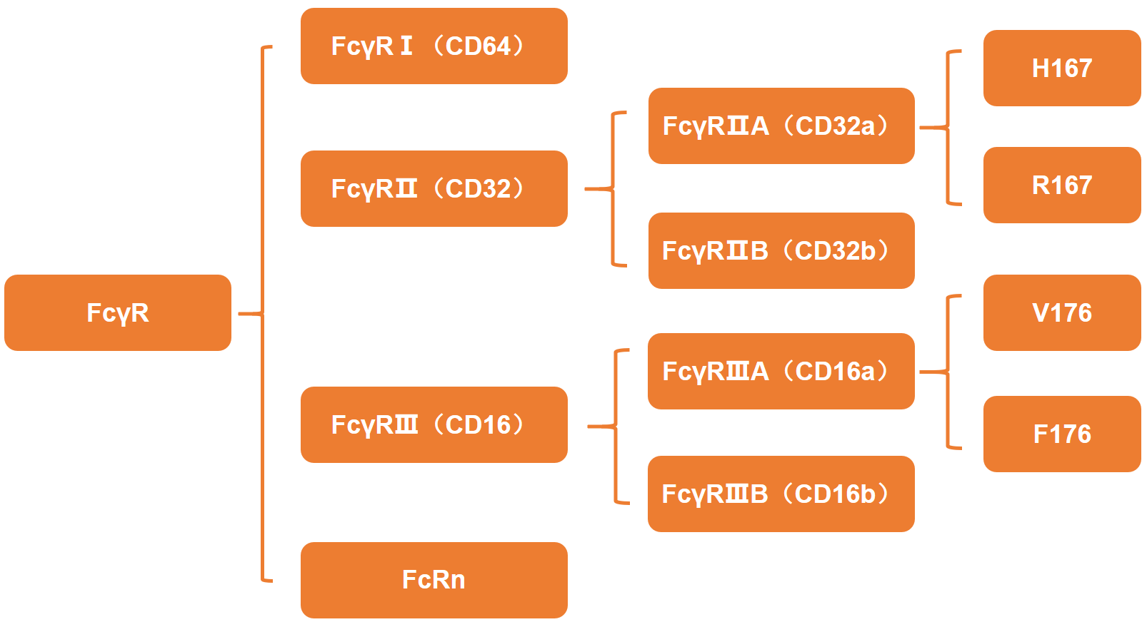 2025澳门原料网大全