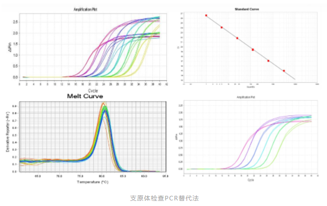 2025澳门原料网大全