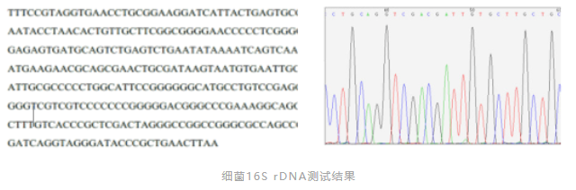 2025澳门原料网大全