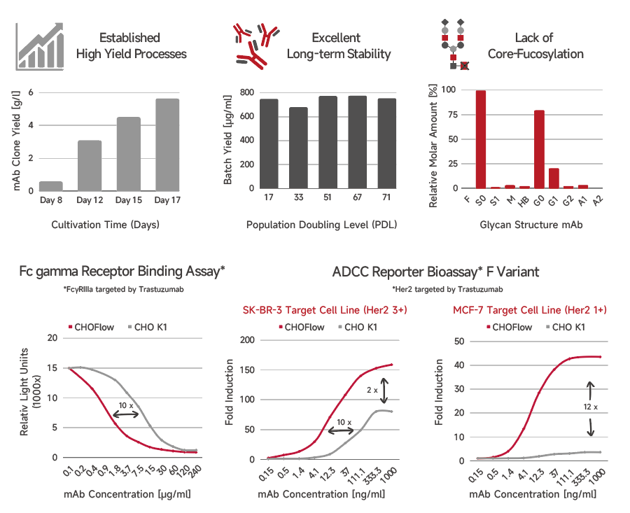 2025澳门原料网大全