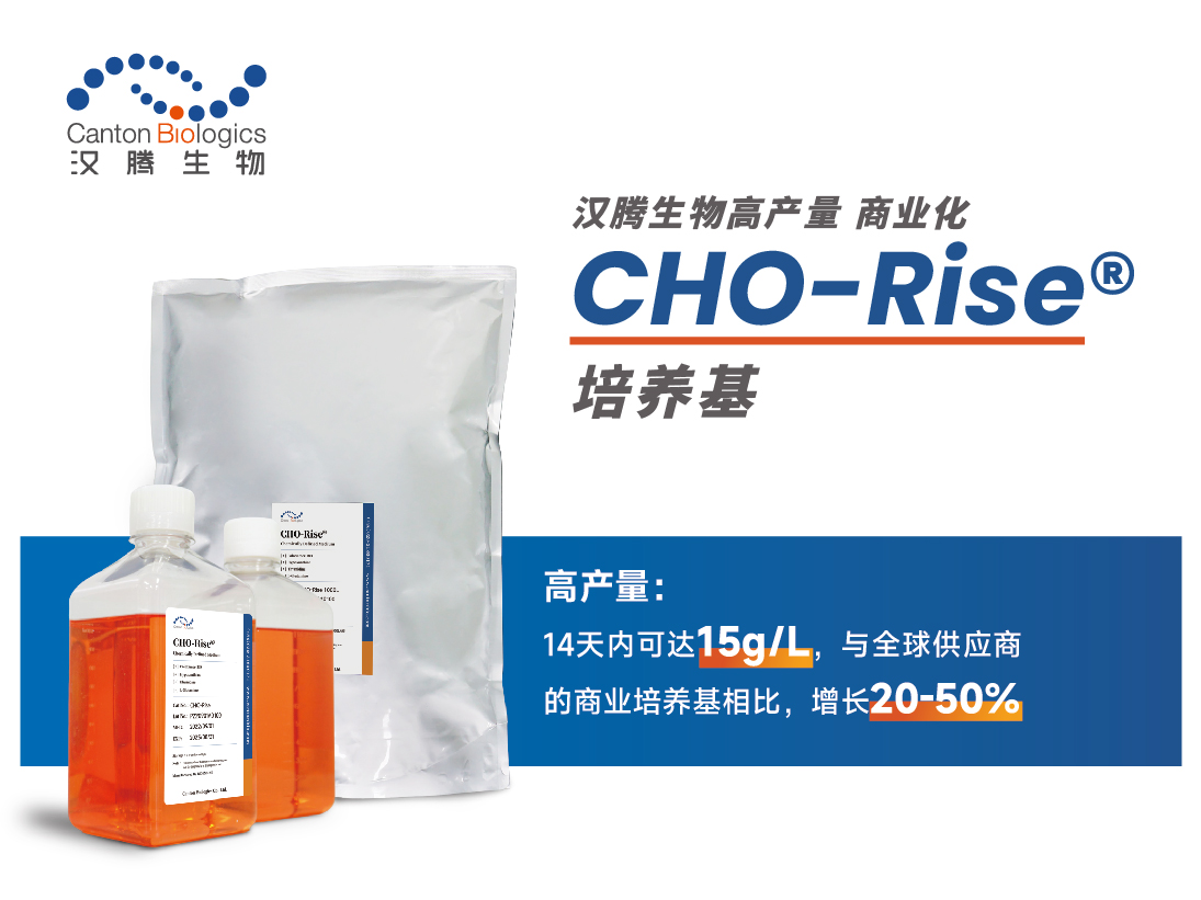 2025澳门原料网大全