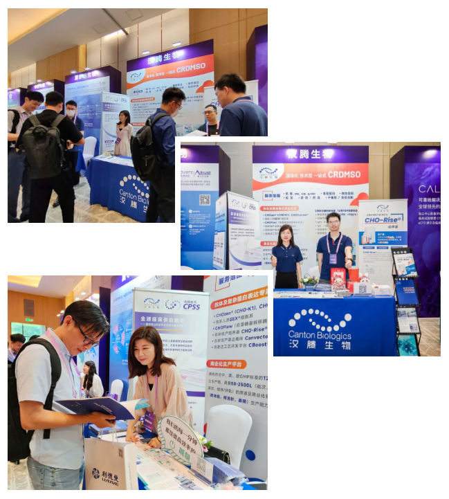 2025澳门原料网大全