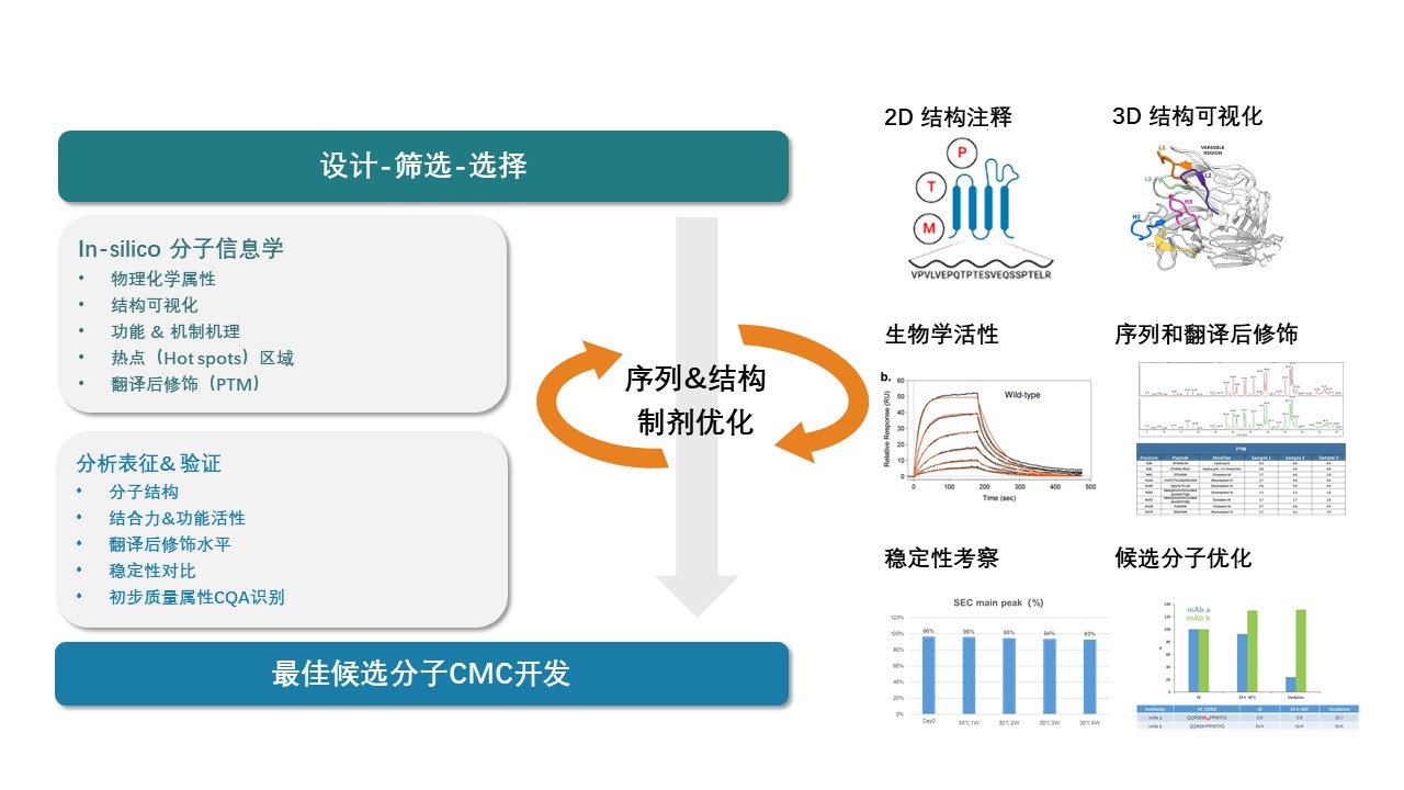 2025澳门原料网大全