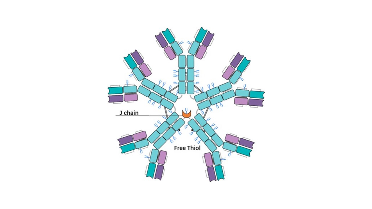2025澳门原料网大全