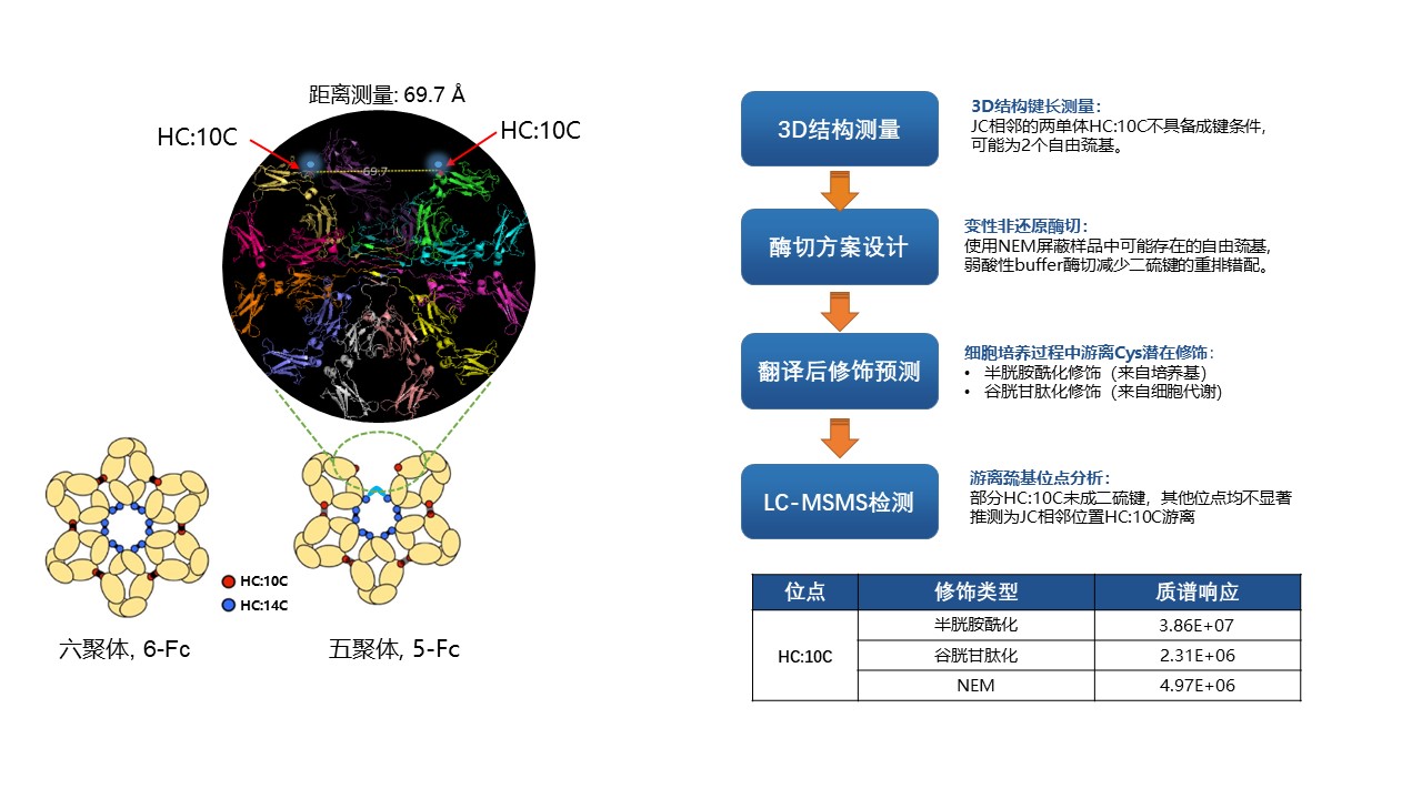 2025澳门原料网大全