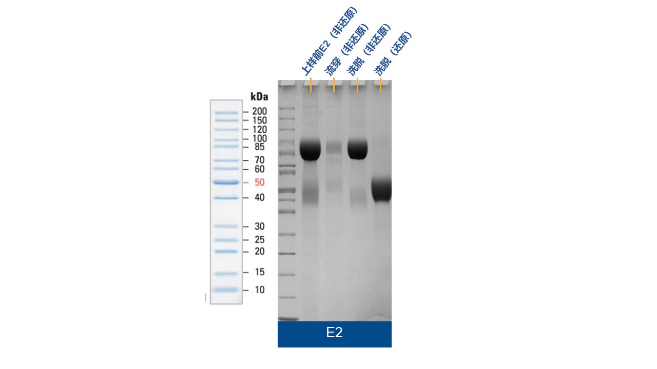 2025澳门原料网大全