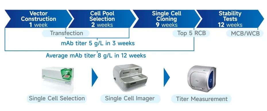 2025澳门原料网大全