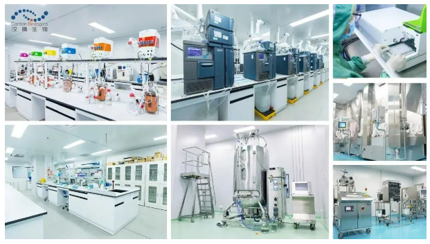 2025澳门原料网大全