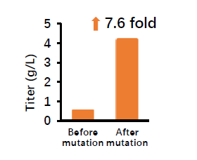 2025澳门原料网大全