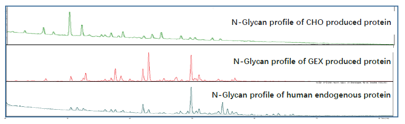 2025澳门原料网大全